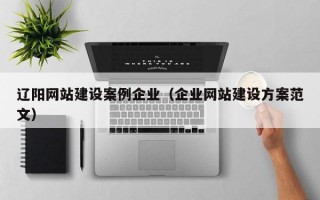 辽阳网站建设案例企业（企业网站建设方案范文）